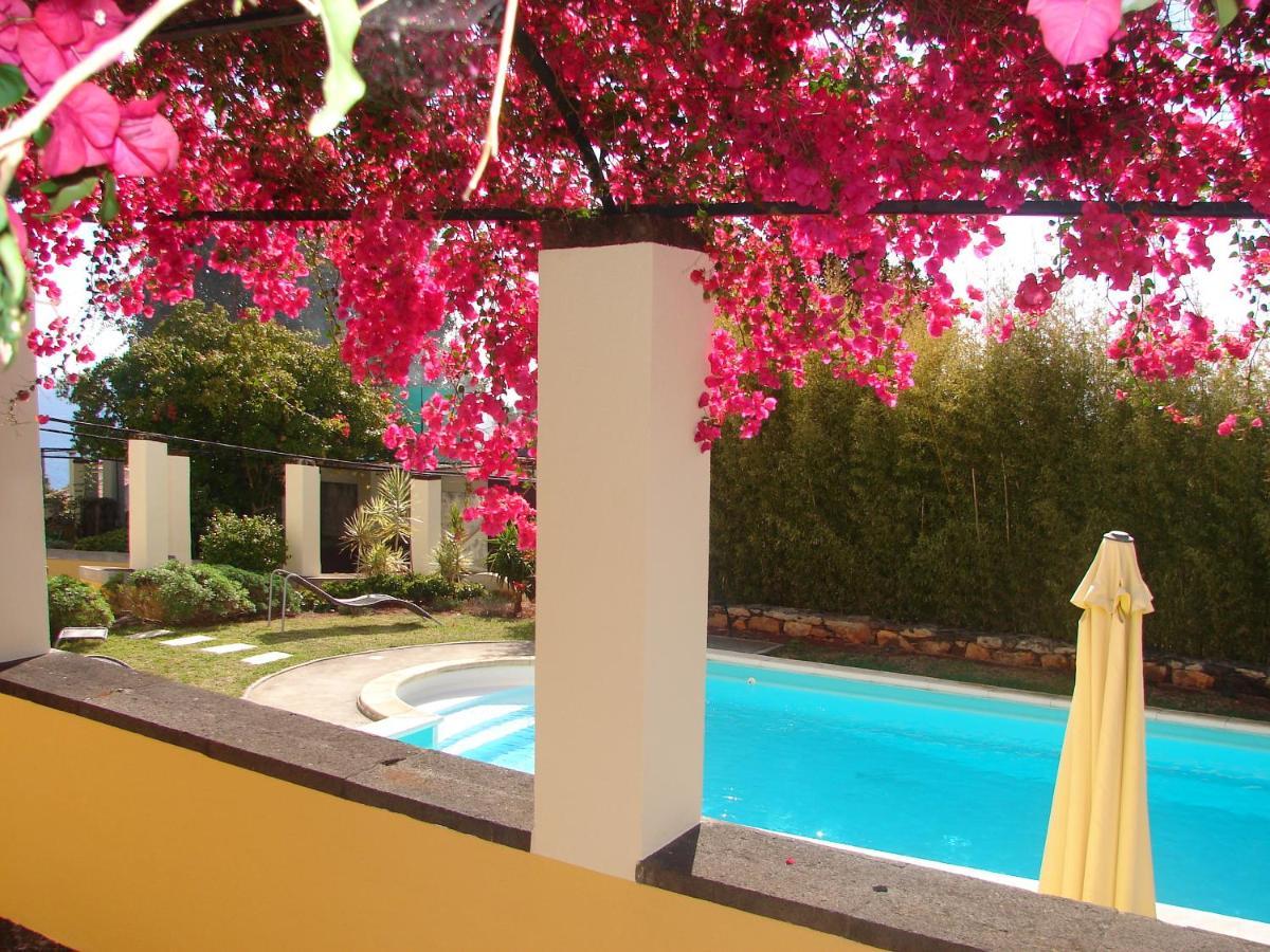 Private Pool Apt. With Great View Funchal  Eksteriør billede