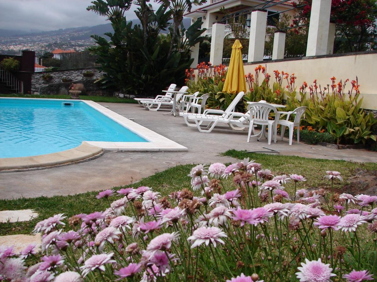 Private Pool Apt. With Great View Funchal  Eksteriør billede