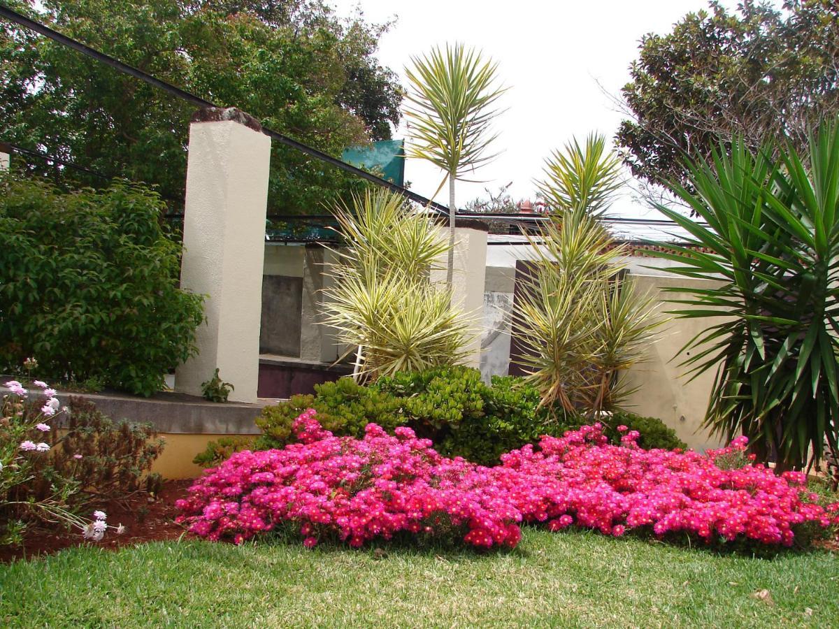 Private Pool Apt. With Great View Funchal  Eksteriør billede