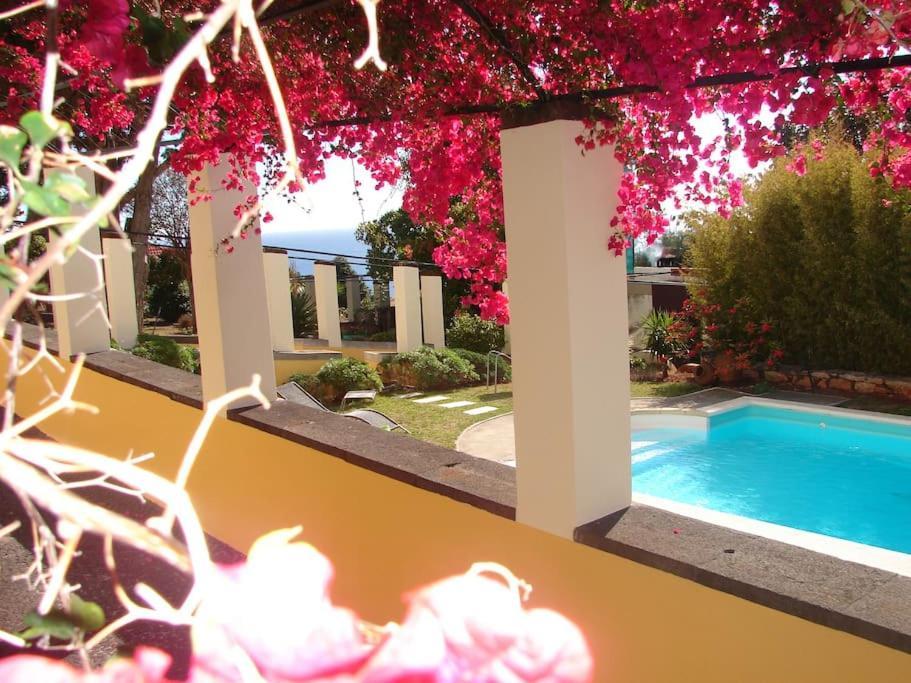 Private Pool Apt. With Great View Funchal  Eksteriør billede