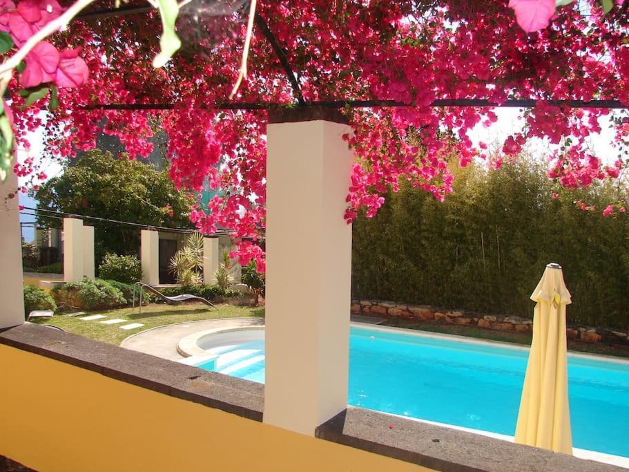 Private Pool Apt. With Great View Funchal  Eksteriør billede