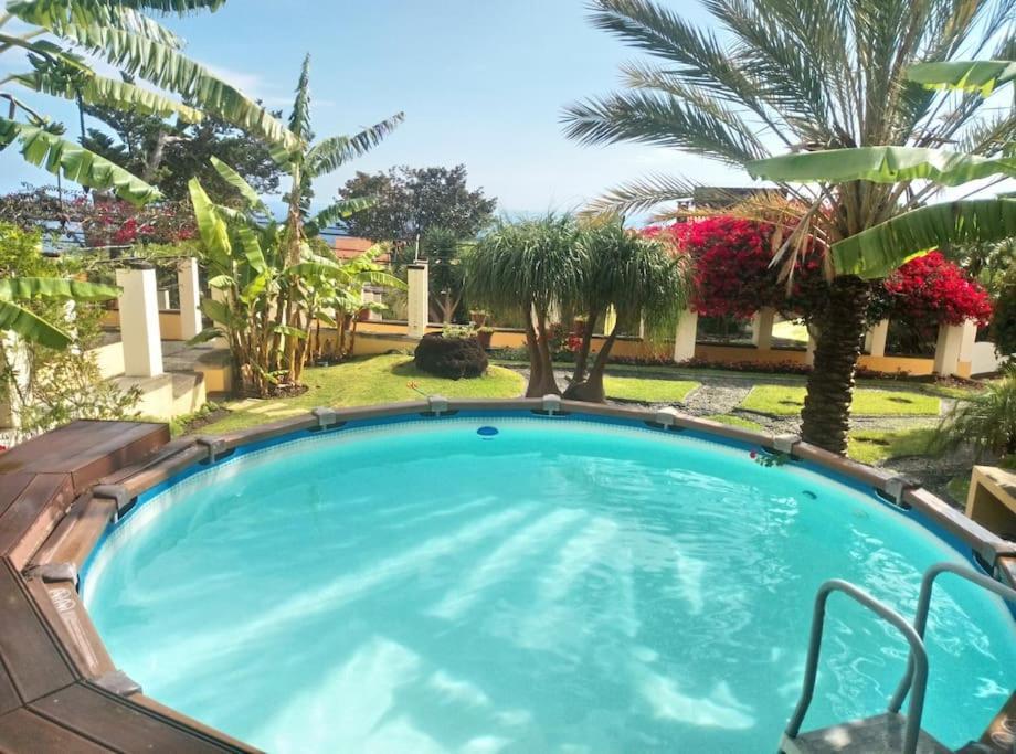 Private Pool Apt. With Great View Funchal  Eksteriør billede