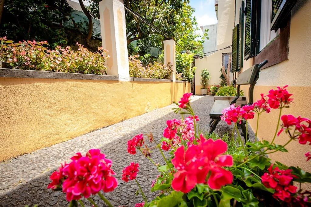Private Pool Apt. With Great View Funchal  Eksteriør billede