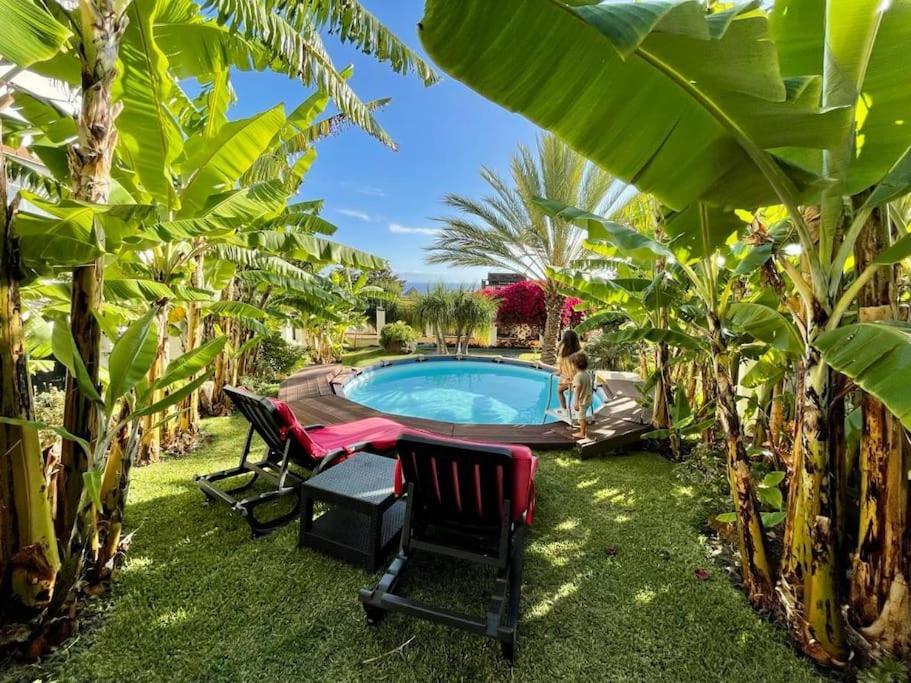 Private Pool Apt. With Great View Funchal  Eksteriør billede