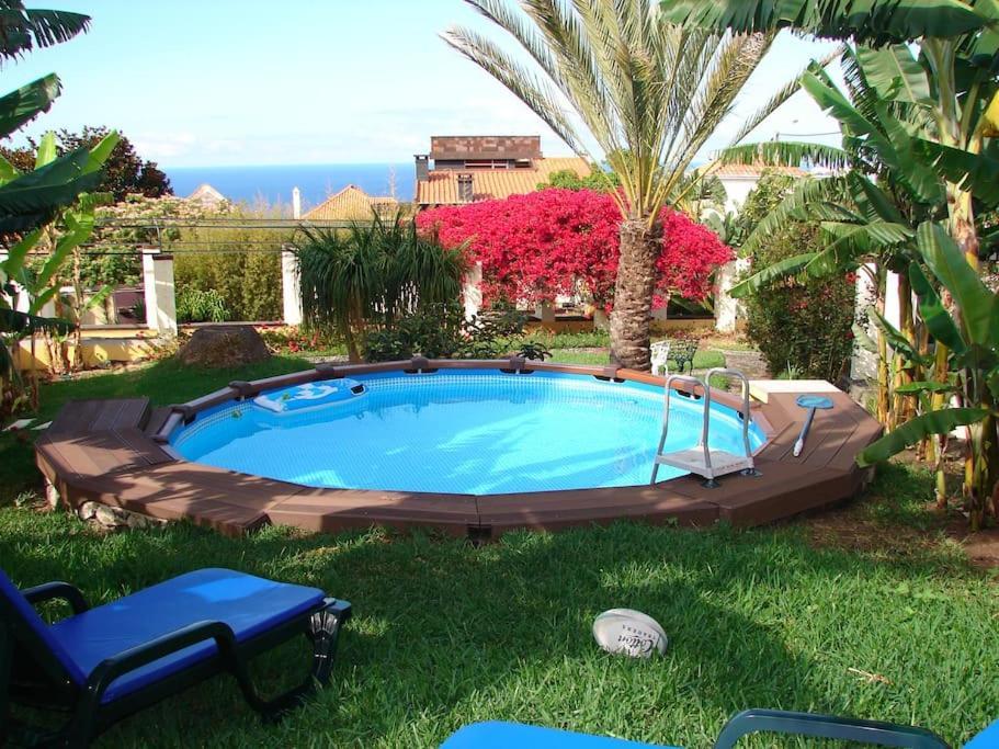 Private Pool Apt. With Great View Funchal  Eksteriør billede